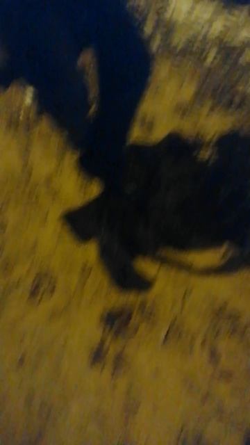 факты о хлебожух первая ч.