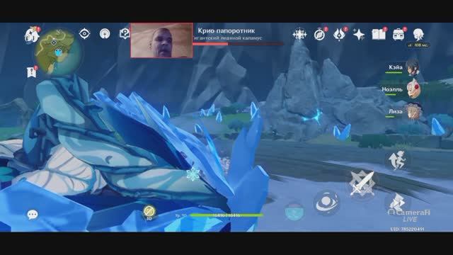 Genshin Impact ПОБЕДИТЬ КРИО папоротник Криопапоротник