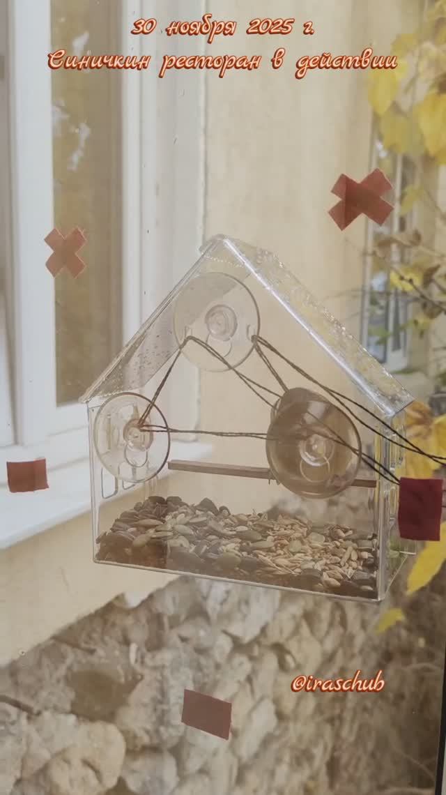 30 ноября 2025 г. Синичкин ресторан в действии #ялта #синичка #кормушкадляптиц