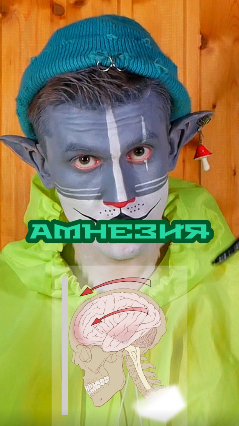 Кот Учёный и Амнезия 🧠