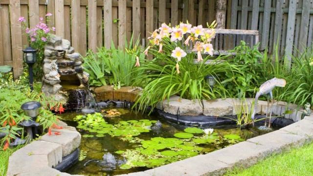 Дачные премудрости ! (14)