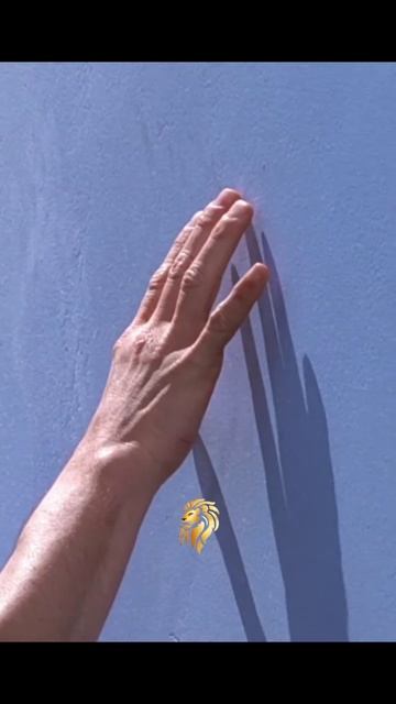 Шоу Трумана