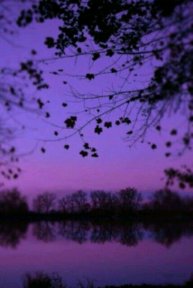 приветик 🎀💕