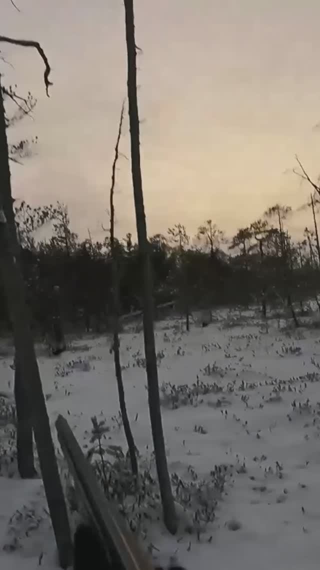 Тетерева на выход!