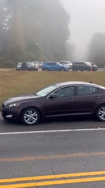 Главная причина пробок на дорогах — низкие умственные способности некоторых водителей 🤣😅😅