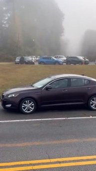 Главная причина пробок на дорогах — низкие умственные способности некоторых водителей 🤣😅😅