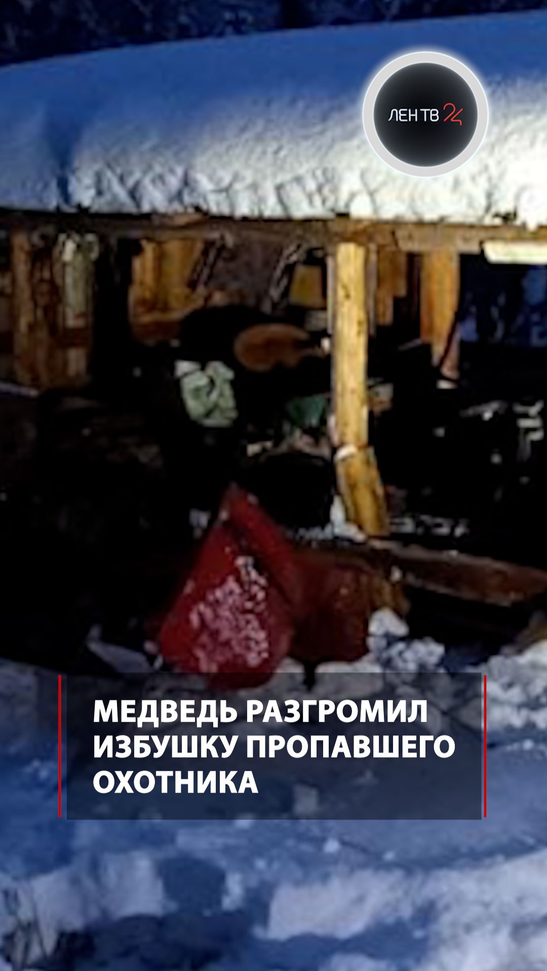 Медведь разгромил избушку пропавшего охотника