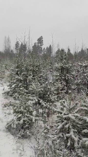 10 декабря 2025