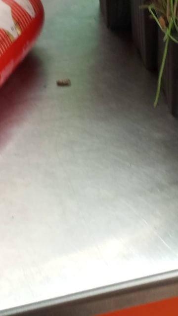 Самый главный покупатель