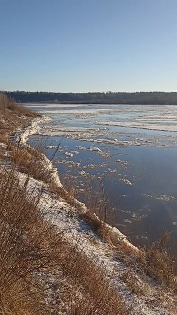 Перед ледоставом.Шуга. 08.12.2025 года. Река Вятка.