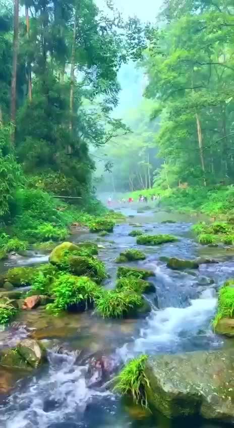 Подпишись 👉 👉 https://kamennyi-zver.ru