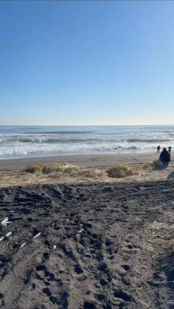 застрял на пляже 🦈🦈🦈