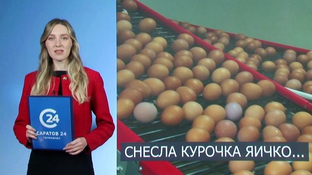 Саратов Сегодня | 11 декабря. Дневной выпуск новостей