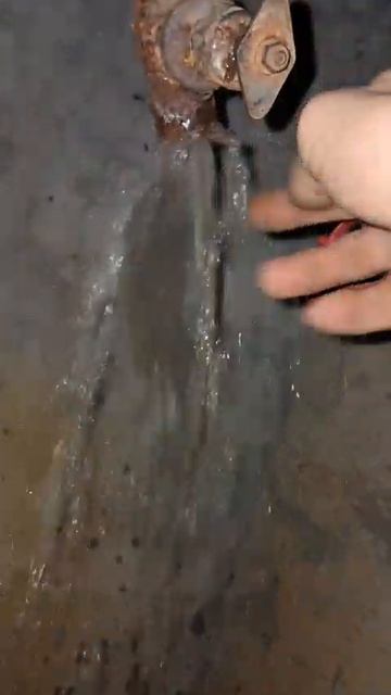 Гудаутская, 5