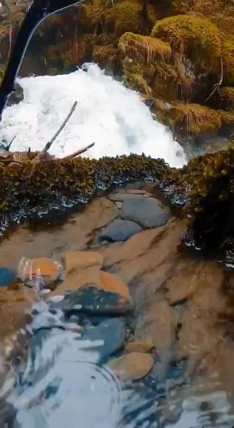 Подпишись 👉 👉 https://kamennyi-zver.ru