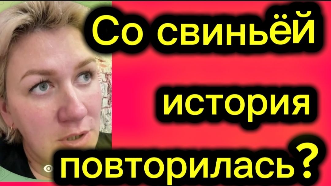 Со свиньёй история повторилась? Деревенский дневник.