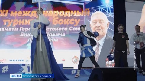 Золото джиу-джитсу, поражение «Чевакаты» и другие события спортивной сферы Вологодской области