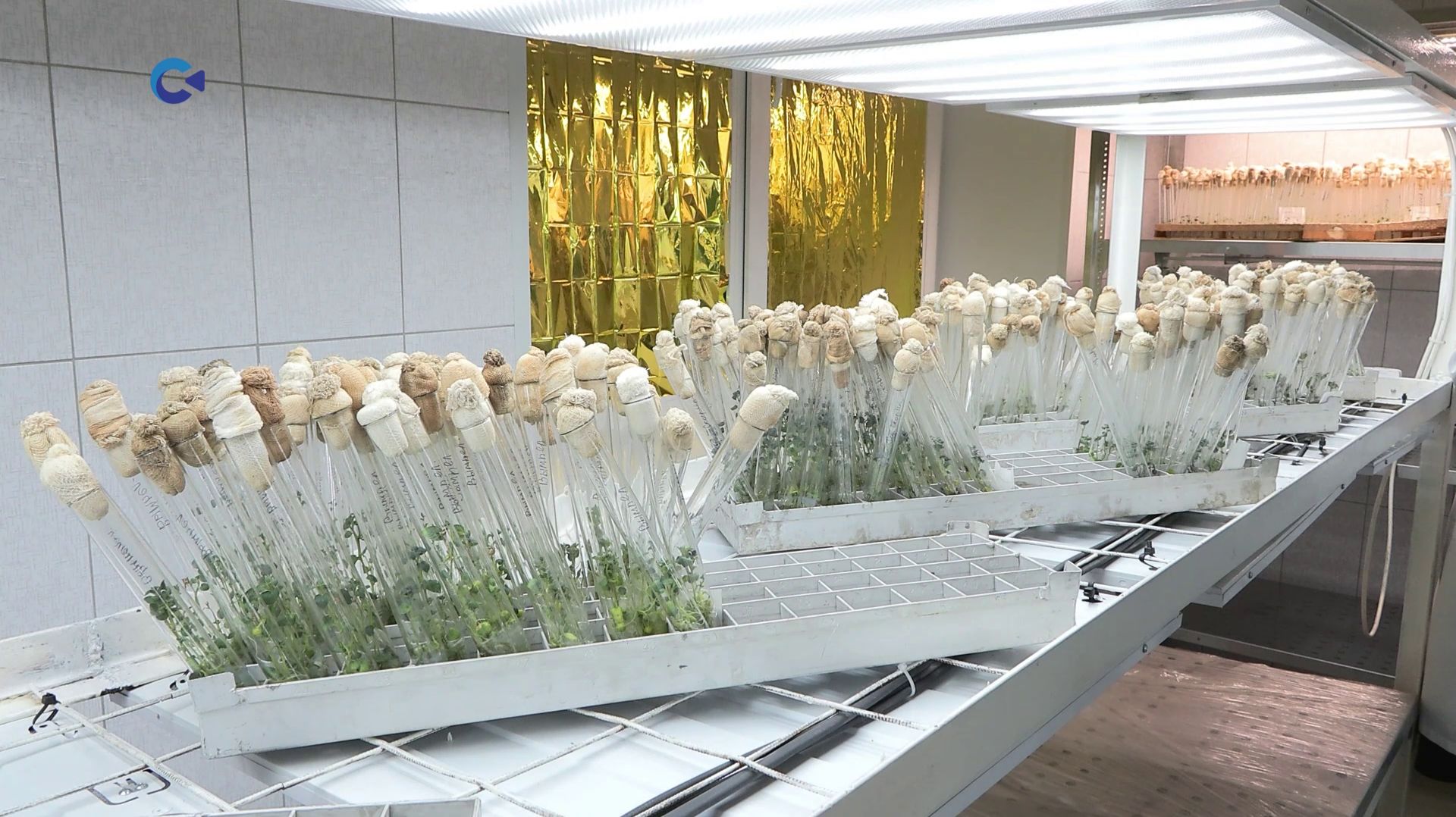 Учителя из районов Карелии побывали на экскурсии по лаборатории агротехнологий «Вилга»