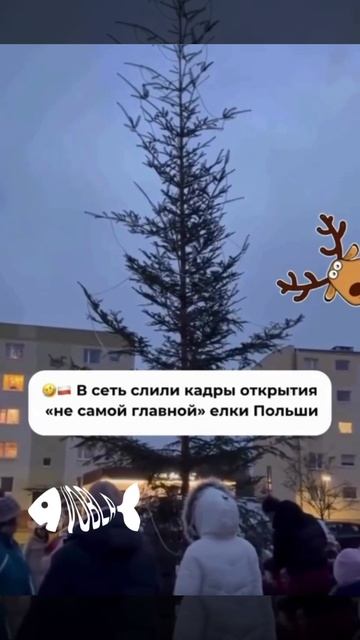 Польский новогодний вайб