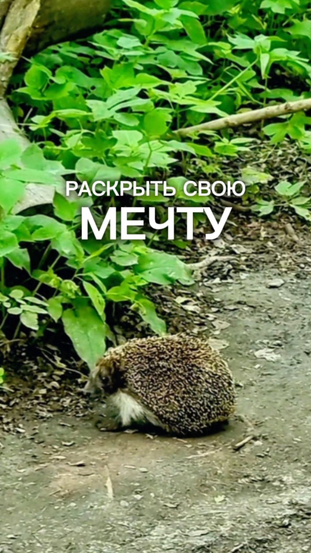 Главное - начать!