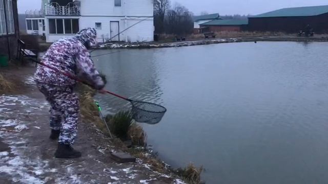 поимка форели на фидер