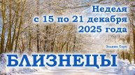 БЛИЗНЕЦЫ | ТАРО прогноз на неделю с 15 по 21 декабря 2025 года