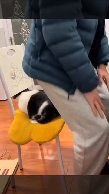 Мущщина, тут занято!