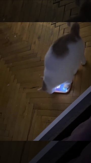 Начальник: почему вы опоздали