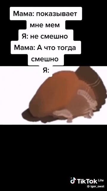 мем