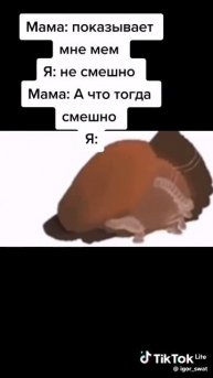 мем