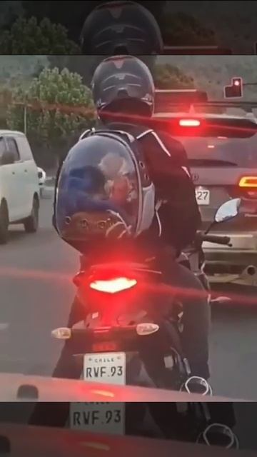 Видео от МЯУтаверс – как метавселенная, но с котами