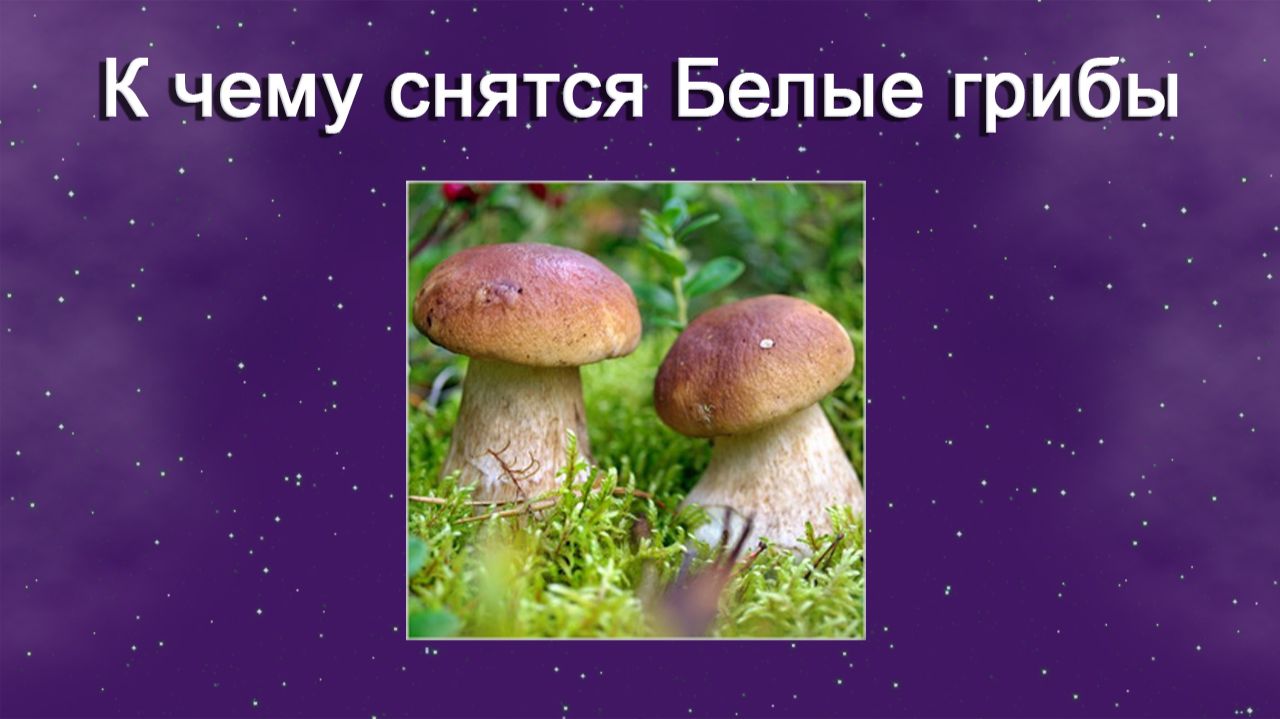 К чему снятся Белые грибы (Сонник)