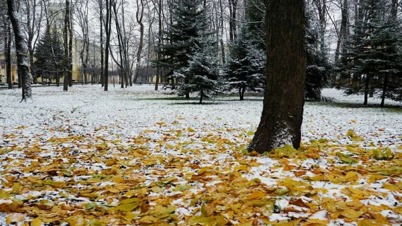 Первый снег. Текст и монтаж Татьяны Пантелеевой.