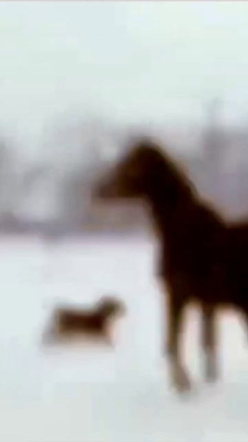 Снежный вихрь / Премьера клипа