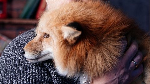 #уралиса я же мать