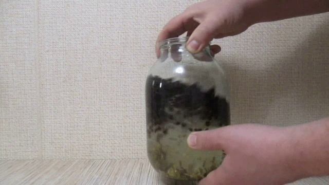 041_Голландская настойка.