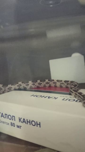 Малыш маисового полоза номер ЧЕТЫРЕ из первой кладки. Продаётся!