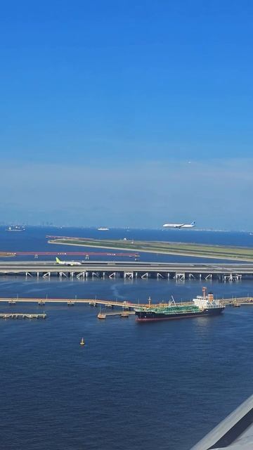 Посадка в аэропорту города Токио, Япония