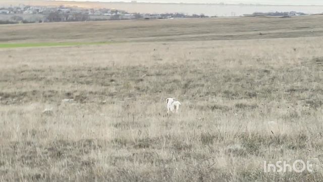 Федора. 11.12.25