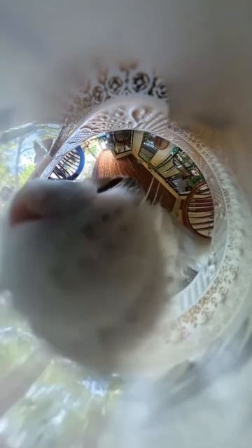 Водный баланс