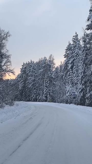 Горный Алтай АлександрАнтоненко #влог #рилс #reels #природа #горныйалтай #алтай #горный