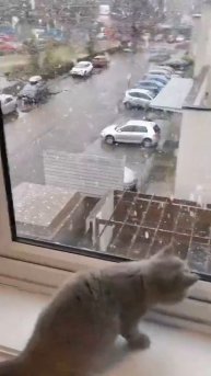 Первый снег ❄️