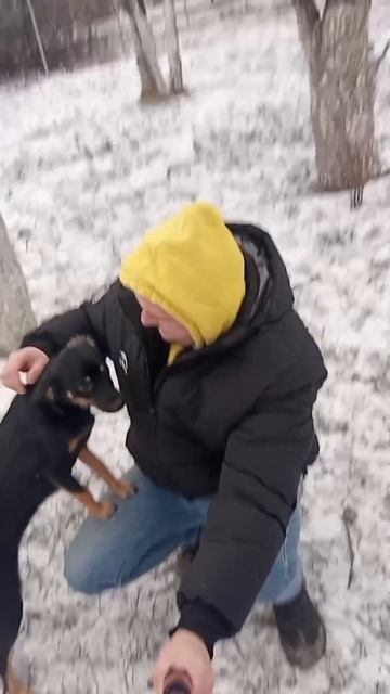 Прогулка с Альфой
#снегвокруг #собачка #щенок #игра #собачьядружба
#собаки #милыйщенок #смешныесоб