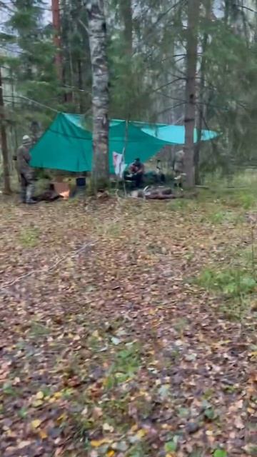 Поход на новые блиндажи #digging #ww2 #shortsvideo #shortsrutube