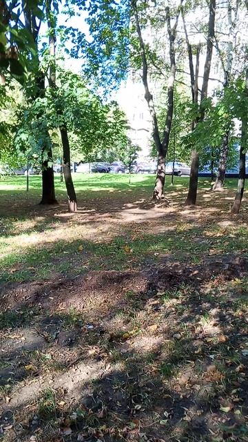 Гуляю с Маусом и Пончиком