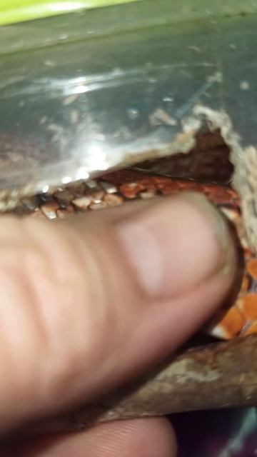 Катриель. 9 декабря 2025 г.