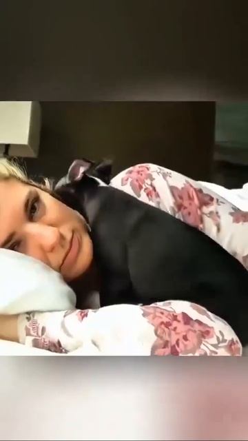 Видео от МЯУтаверс – как метавселенная, но с котами