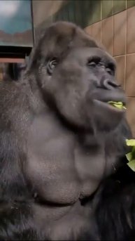 Дoброе утро