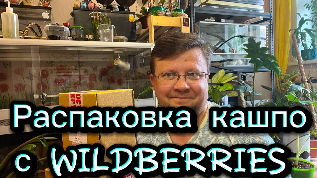 Распаковка новых бетонных кашпо с WILDBERRIES!!! Бетонному городу быть!!!