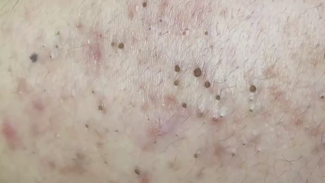 Relax Spa 021 • АСМР • SacDepSpa collection